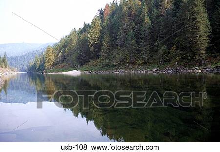 Forested Lakeside Reflected in Water Yosemite USA View Large Photo Image Stock Photo - Forested Lakeside Reflected in Water Yosemite USA. Fotosearch