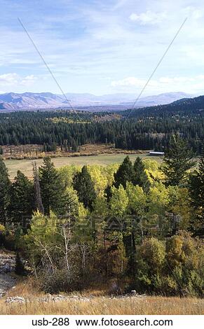 Forested Valley Floor Wyoming USA View Large Photo Image Stock Photo - Forested Valley Floor Wyoming USA. Fotosearch