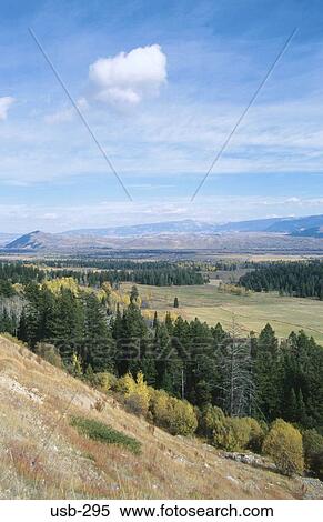 Forested Valley Floor Wyoming USA View Large Photo Image Stock Photography - Forested Valley Floor Wyoming USA. Fotosearch