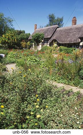 Garden of Anne Hathaway’s Cottage Shottery Warwickshire UK View Large Photo Image Stock Photograph - Garden of Anne Hathaway’s Cottage Shottery Warwickshire UK. Fotosearch