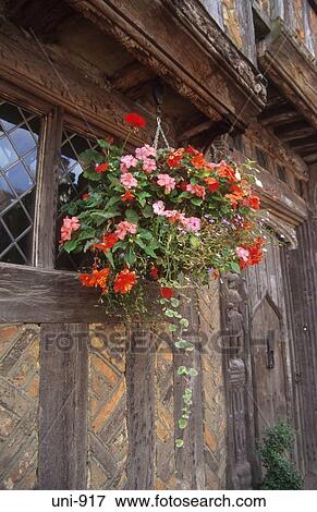 Hanging Basket and Medieval Wallscape Lavenham UK View Large Photo Image Stock Photo - Hanging Basket and Medieval Wallscape Lavenham UK. Fotosearch