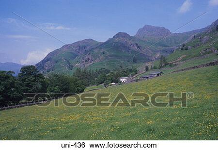 Hillside and Mountains Lake District UK View Large Photo Image Stock Photograph - Hillside and Mountains Lake District UK. Fotosearch