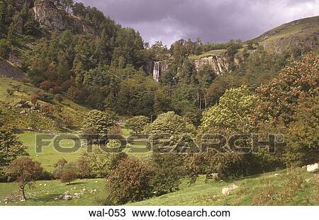 Hillside Llyn Rhaeder-y-mochnant Wales View Large Photo Image Stock Image - Hillside Llyn Rhaeder-y-mochnant Wales. Fotosearch
