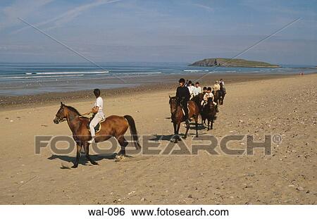 Horses Sandy Beach Llangenith Gower Wales View Large Photo Image Stock Photograph - Horses Sandy Beach Llangenith Gower Wales. Fotosearch