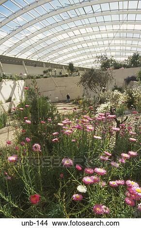 Interior of the Great Glasshouse National Botanical Gardens Wales UK View Large Photo Image Picture - Interior of the Great Glasshouse National Botanical Gardens Wales UK. Fotosearch