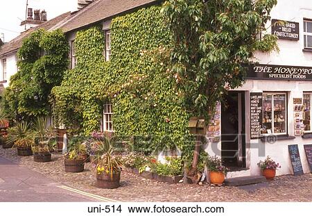 Ivy Covered Shop and Cottage UK View Large Photo Image Picture - Ivy Covered Shop and Cottage UK. Fotosearch