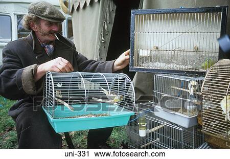 Man Selling Pet Birds at Country Fair UK View Large Photo Image Stock Image - Man Selling Pet Birds at Country Fair UK. Fotosearch