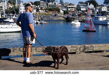 Man Walking Dog at Marina Santa Cruz USA View Large Photo Image Stock Photo - Man Walking Dog at Marina Santa Cruz USA. Fotosearch