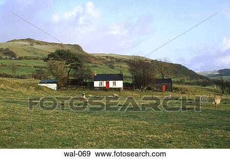 Mountain Farmhouse Wales View Large Photo Image Stock Photo - Mountain Farmhouse Wales. Fotosearch