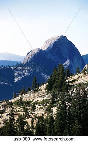 Mountains and Forests Yosemite National Park USA View Large Photo Image Stock Image - Mountains and Forests Yosemite National Park USA. Fotosearch