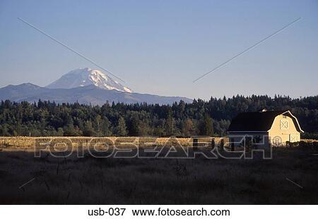 Stock Photo - Mt Rainier in Rural Landscape Washington State USA. Fotosearch
