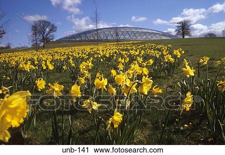 National Botanical Gardens Wales UK View Large Photo Image Stock Image - National Botanical Gardens Wales UK. Fotosearch