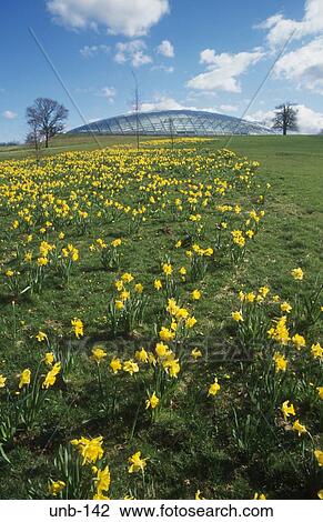 National Botanical Gardens Wales UK View Large Photo Image Stock Image - National Botanical Gardens Wales UK. Fotosearch