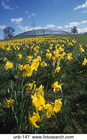 Stock Photo - National Botanical Gardens Wales UK. Fotosearch