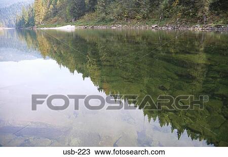 Nez Perce Forest Reflected in Lake Idaho View Large Photo Image Stock Image - Nez Perce Forest Reflected in Lake Idaho. Fotosearch