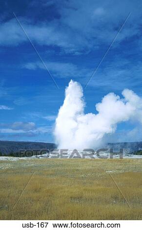 Stock Photo - Old Faithful Geyser in Yellowstone Park USA. Fotosearch