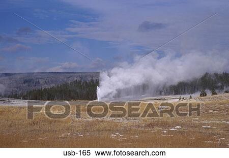 Old Faithful Geyser in Yellowstone Park USA View Large Photo Image Stock Photography - Old Faithful Geyser in Yellowstone Park USA. Fotosearch