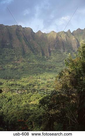 Pali Mountain Range Hawaii USA View Large Photo Image Stock Photo - Pali Mountain Range Hawaii USA. Fotosearch