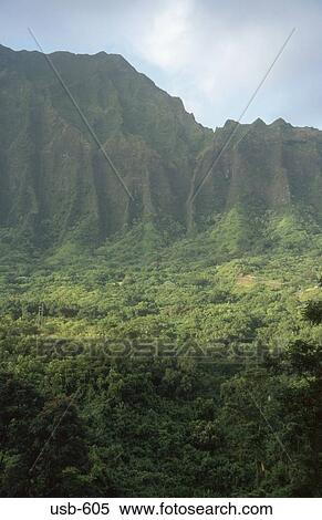 Pali Mountain Range Hawaii USA View Large Photo Image Stock Photography - Pali Mountain Range Hawaii USA. Fotosearch