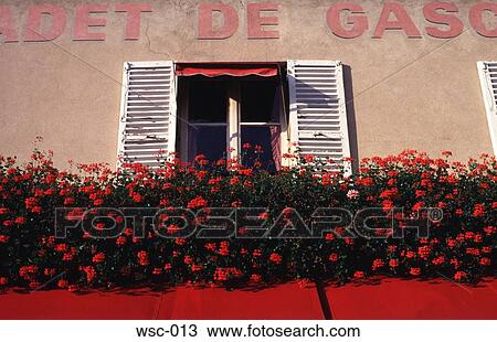 Parisian Window Boxes View Large Photo Image Stock Image - Parisian Window Boxes. Fotosearch