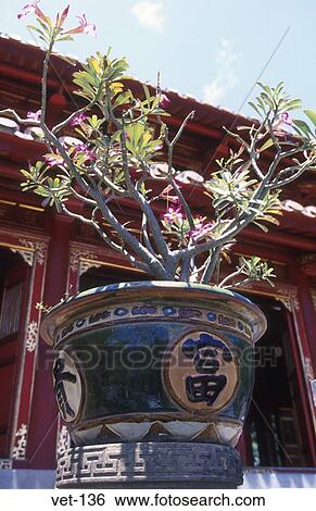 Stock Photograph - Plant Tomb of Minh Mang Vietnam. Fotosearch