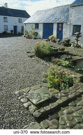 Plants in Farmyard UK View Large Photo Image Stock Image - Plants in Farmyard UK. Fotosearch
