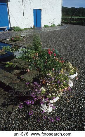 Stock Photograph - Potted Plants in Courtyard Wales UK. Fotosearch