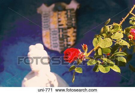 Stock Image - Red Rose by Statue Portmeirion Wales UK. Fotosearch