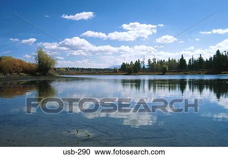 Stock Image - Reflection of Trees in a Wyoming Lake USA. Fotosearch
