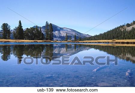 Reflection of Wood and Mountain in Still Lake USA View Large Photo Image Stock Photo - Reflection of Wood and Mountain in Still Lake USA. Fotosearch