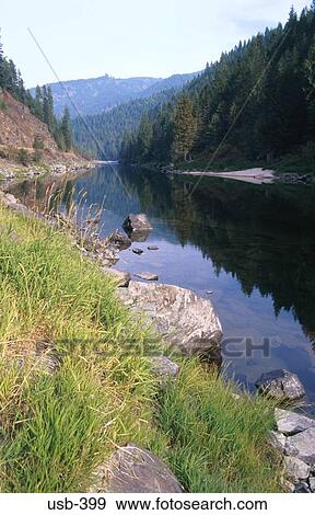 River and Forest Nez Perce National Forest USA View Large Photo Image Stock Photo - River and Forest Nez Perce National Forest USA. Fotosearch