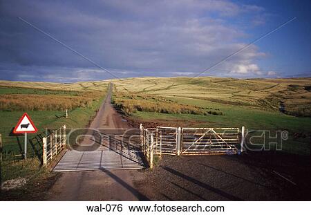 Road Sign by Cattle Grid Wales View Large Photo Image Stock Photograph - Road Sign by Cattle Grid Wales. Fotosearch