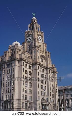 Royal Liver Building Liverpool UK View Large Photo Image Stock Image - Royal Liver Building Liverpool UK. Fotosearch