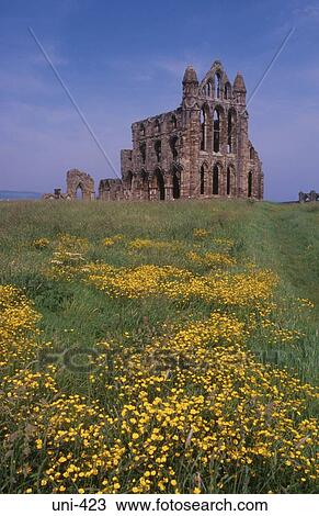 Ruins of Whitby Abbey UK View Large Photo Image Stock Image - Ruins of Whitby Abbey UK. Fotosearch
