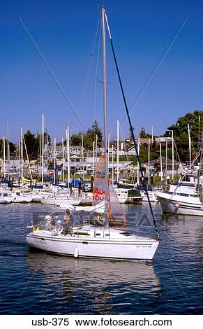 Sailing Boat in Marina Santa Cruz USA View Large Photo Image Stock Photography - Sailing Boat in Marina Santa Cruz USA. Fotosearch