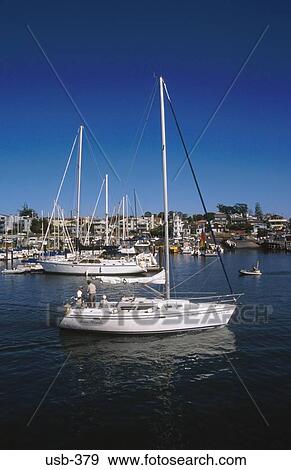 Sailing Boat in Santa Cruz Marina California USA View Large Photo Image Stock Photo - Sailing Boat in Santa Cruz Marina California USA. Fotosearch