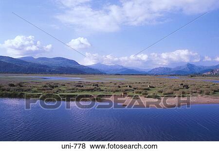 Salt Marsh and Mountain Landscape Penrhydeudraeth Wales View Large Photo Image Stock Photo - Salt Marsh and Mountain Landscape Penrhydeudraeth Wales. Fotosearch