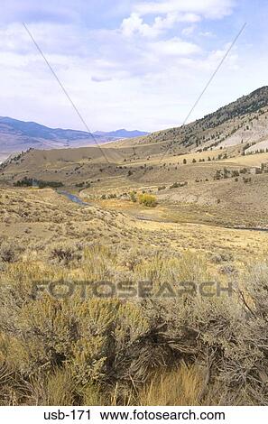Scrub Covered Valley Yellowstone Park USA View Large Photo Image Stock Image - Scrub Covered Valley Yellowstone Park USA. Fotosearch