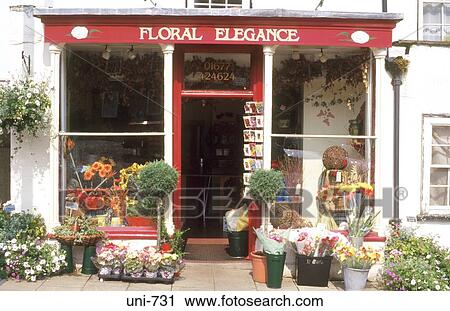 Small Flower Shop Leyburn Yorkshire UK View Large Photo Image Stock Image - Small Flower Shop Leyburn Yorkshire UK. Fotosearch