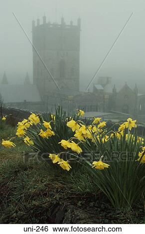 St. David's Cathedral in Mist Wales UK View Large Photo Image Stock Photograph - St. David's Cathedral in Mist Wales UK. Fotosearch