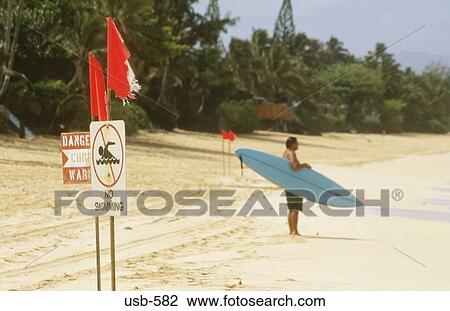 Surfer Hawaii USA View Large Photo Image Stock Image - Surfer Hawaii USA. Fotosearch
