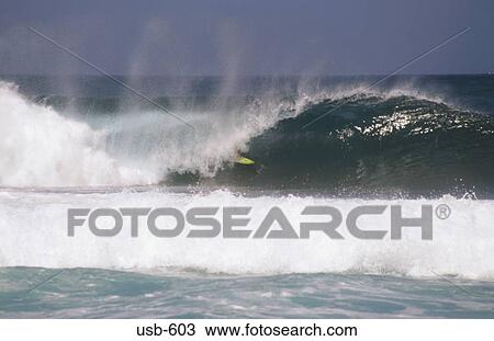 Stock Image - Surfing Hawaii USA. Fotosearch