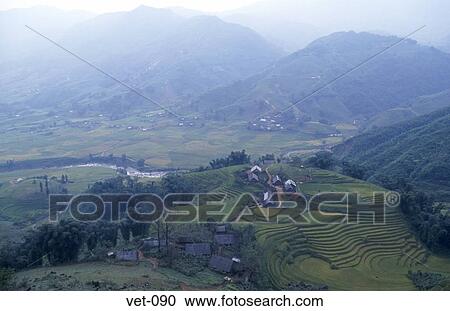 Stock Image - Terraced Rice Fields Sapa Vietnam. Fotosearch