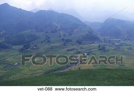 Terraced Rice Fields Sapa Vietnam View Large Photo Image Stock Photo - Terraced Rice Fields Sapa Vietnam. Fotosearch