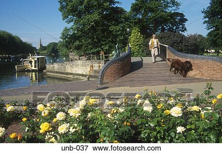 The River Avon Stratford upon Avon Warwickshire UK View Large Photo Image Stock Photo - The River Avon Stratford upon Avon Warwickshire UK. Fotosearch
