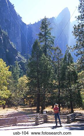 Picture - Tourist Posing for Snapshot in Woods California USA. Fotosearch