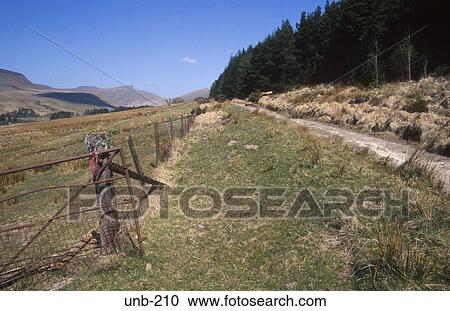 Track around Forest Brecon Beacons Wales UK View Large Photo Image Stock Image - Track around Forest Brecon Beacons Wales UK. Fotosearch