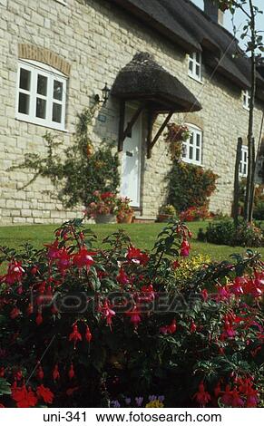 Stock Image - Traditional Cottage Garden England UK. Fotosearch