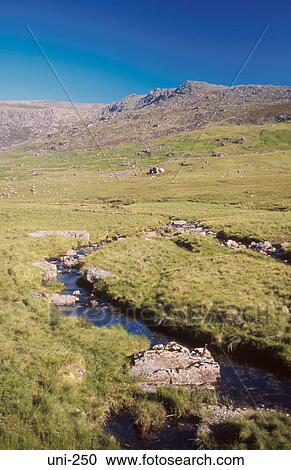 Upland Rural Landscape Wales UK View Large Photo Image Stock Image - Upland Rural Landscape Wales UK. Fotosearch