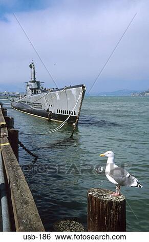 USS Pampanito Second World War Submarine USA View Large Photo Image Stock Photograph - USS Pampanito Second World War Submarine USA. Fotosearch